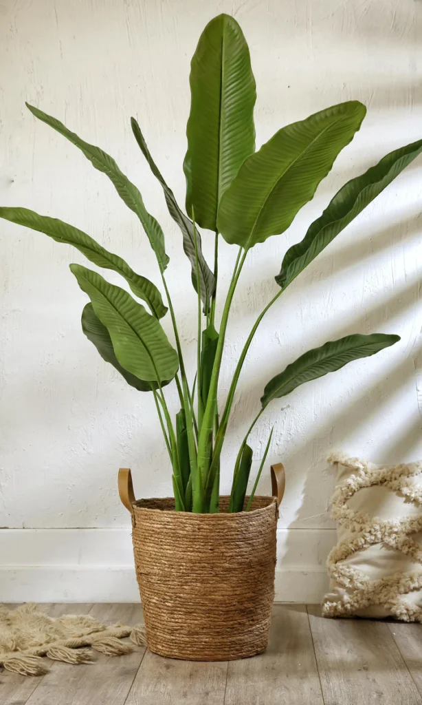Artificial Banana Tree