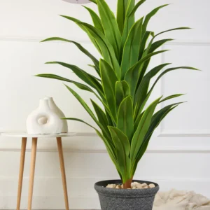 Artificial Dracaena Plant