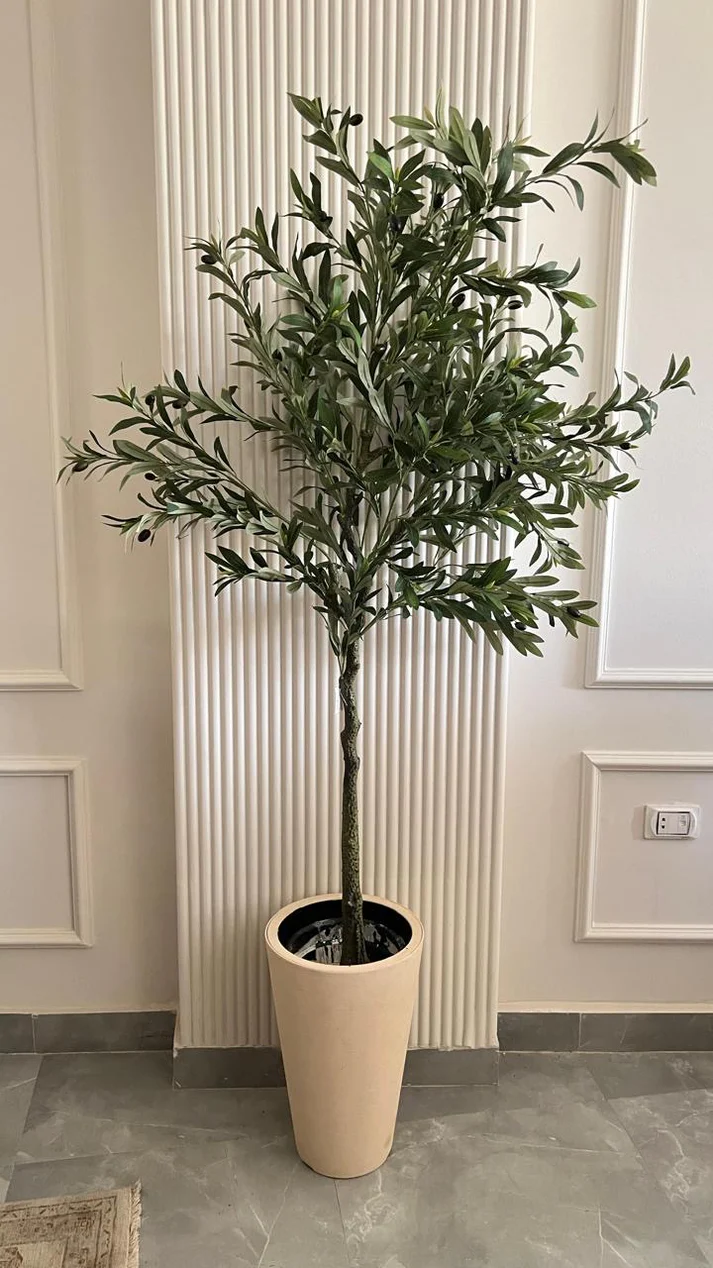 8EEC81E0 F21C 41FA 99E9 A5E0428ABEB4