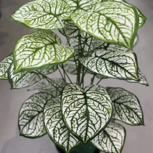 Artificial White Caladium Plant