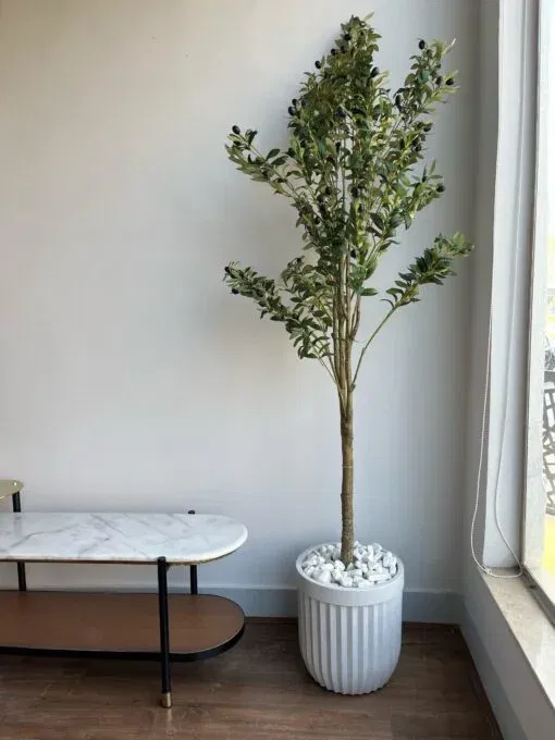 Mediterranean Elegance Olive Tree Planter