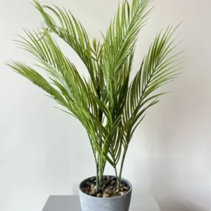 Oasis Palm Accent
