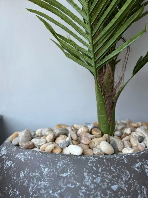 Tropical Grandeur Palm Pot